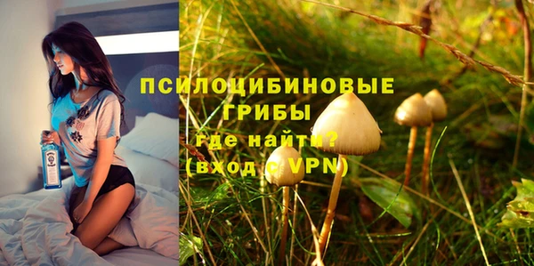 мяу мяу мука Беломорск