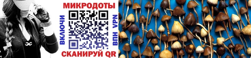 Галлюциногенные грибы GOLDEN TEACHER  Облучье 